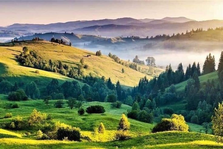 Khaptad National Park Trek 8N 9D – Best Offbeat Nepal Experience