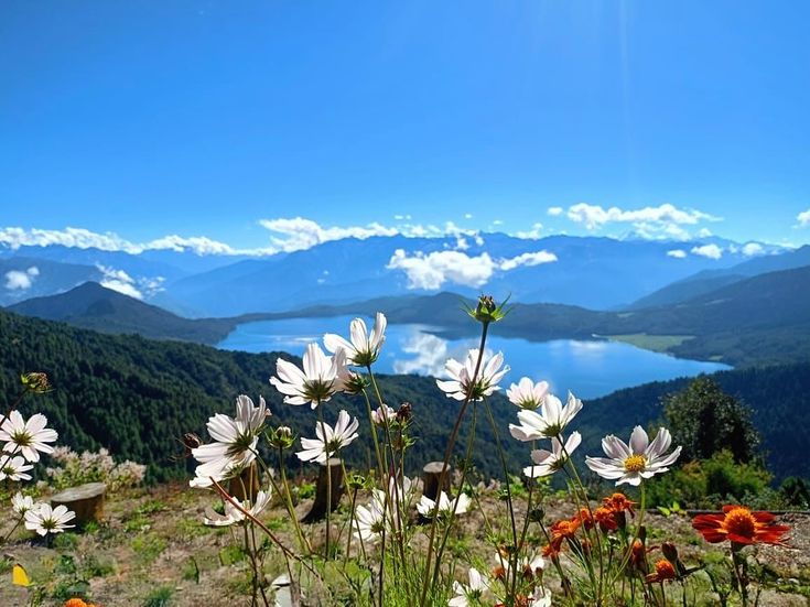 Rara Lake Tour – 7 Days Epic Journey to Nepal’s Breathtaking Hidden Paradise